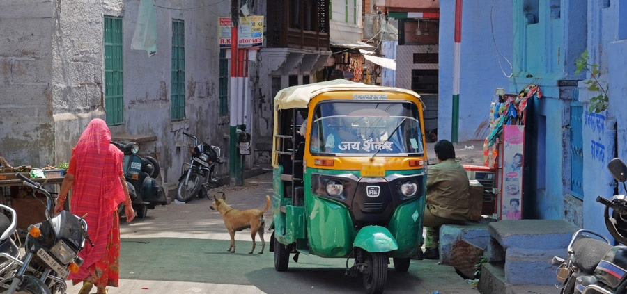 JODHPUR RAJASTHAN INDIA