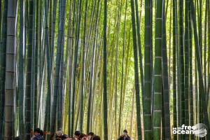 KAMAKURA JAPAN