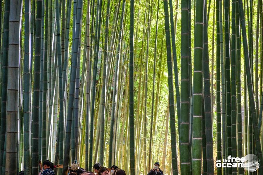 KAMAKURA JAPAN