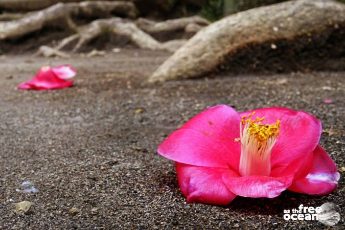 KAMAKURA JAPAN