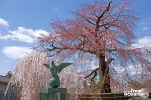 KYOTO JAPAN