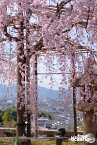 KYOTO JAPAN