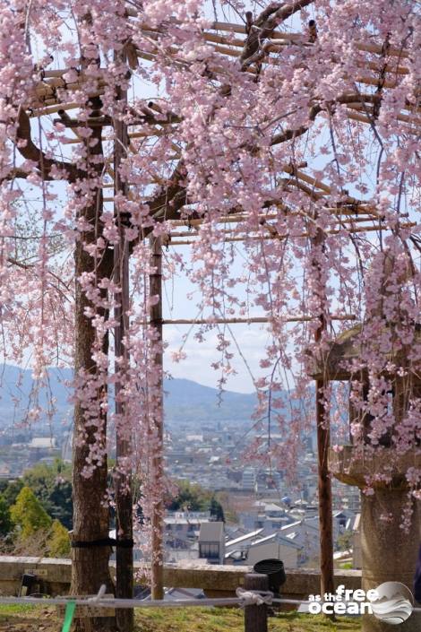 KYOTO JAPAN