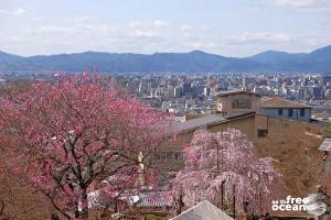 KYOTO JAPAN