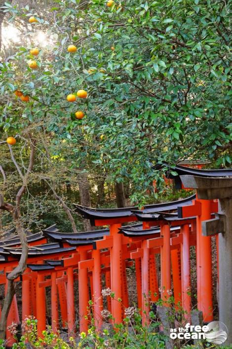 KYOTO JAPAN