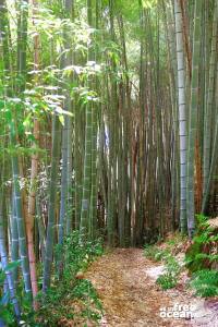 KYOTO JAPAN