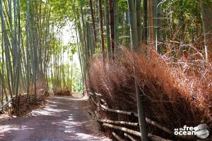 KYOTO JAPAN