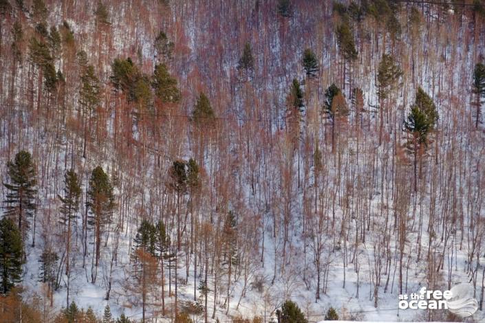 LISTVIANKA RUSSIA BAIKAL LAKE