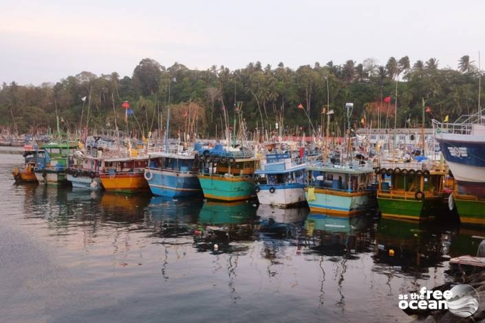 MIRISSA SRI LANKA