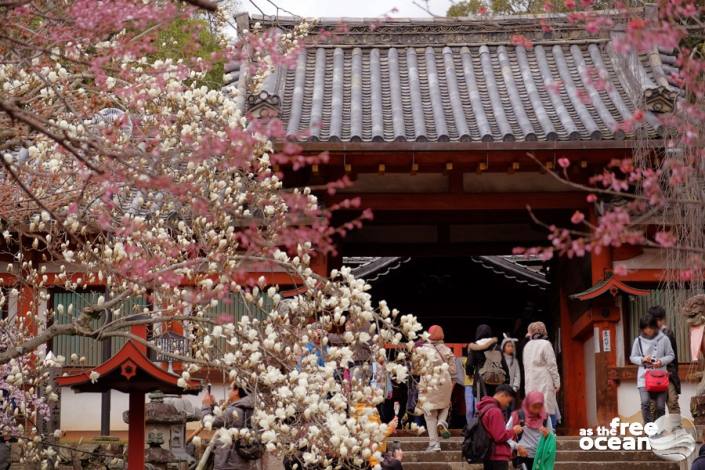 NARA JAPAN