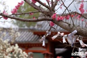 NARA JAPAN