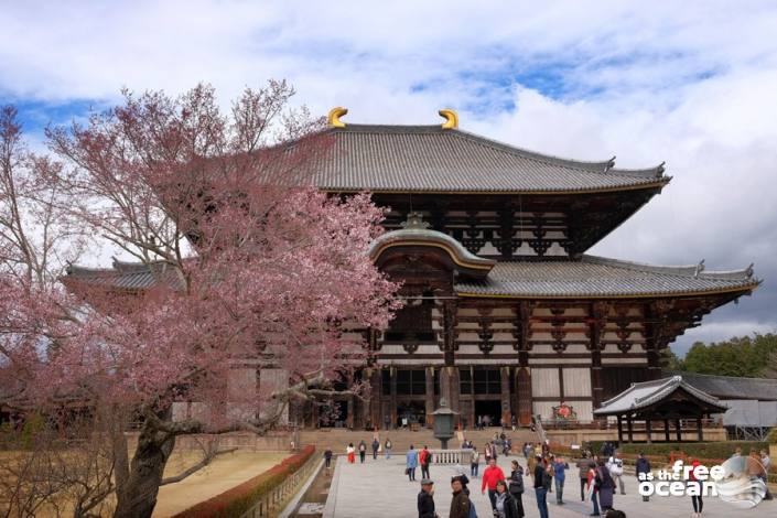 NARA JAPAN