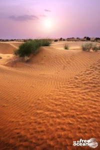 JAISALMER INDIA