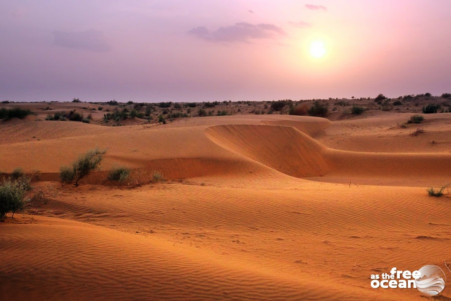 JAISALMER INDIA