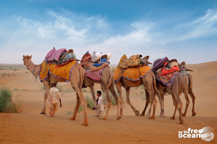 JAISALMER INDIA