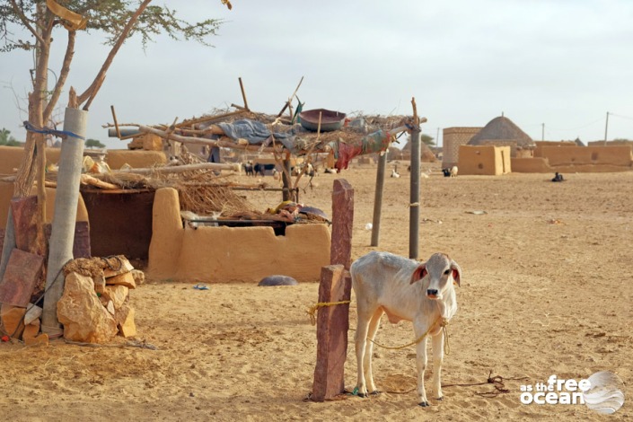 JAISALMER INDIA