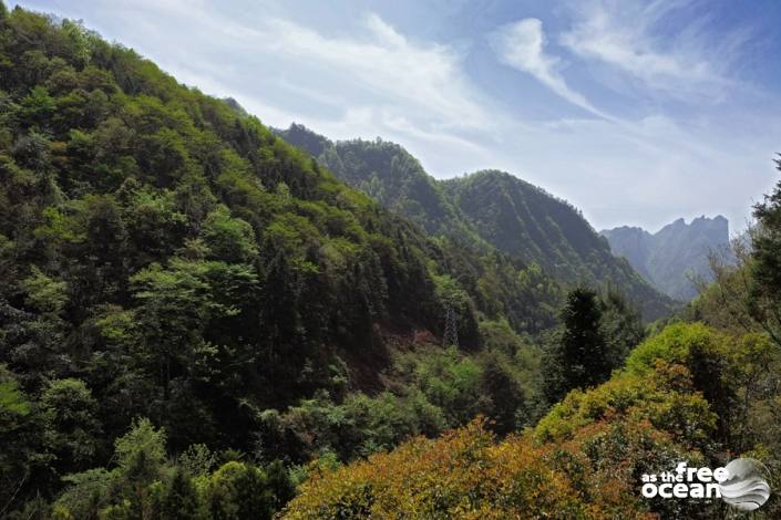 ZHANGJIANJIE NATIONAL PARK CHINA