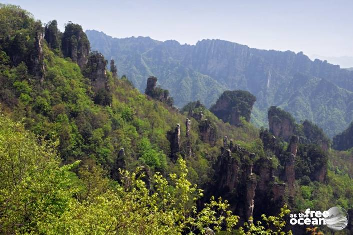 ZHANGJIANJIE NATIONAL PARK CHINA