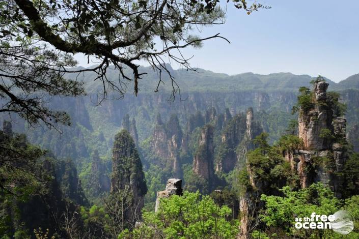 ZHANGJIANJIE NATIONAL PARK CHINA