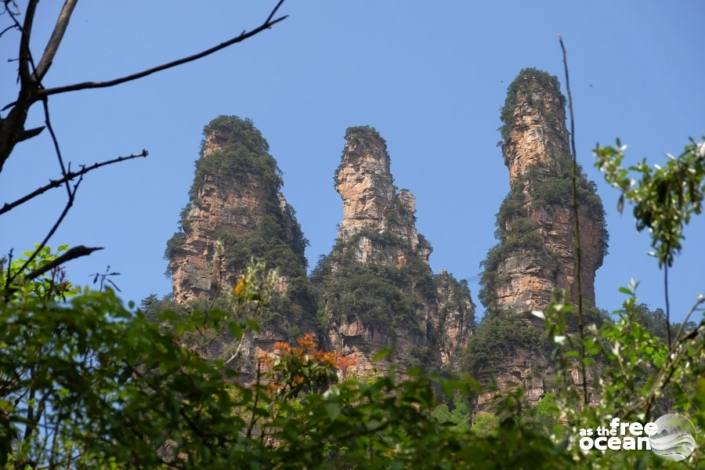 ZHANGJIANJIE NATIONAL PARK CHINA