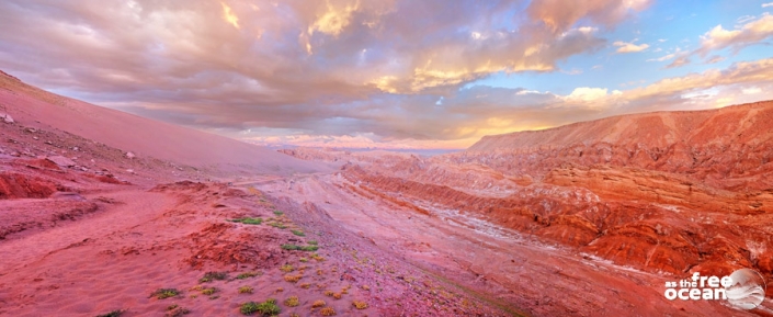 SAN PEDRO DE ATACAMA CHILE