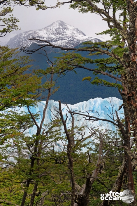 PERITO MORENO EL CALAFATE ARGENTINA