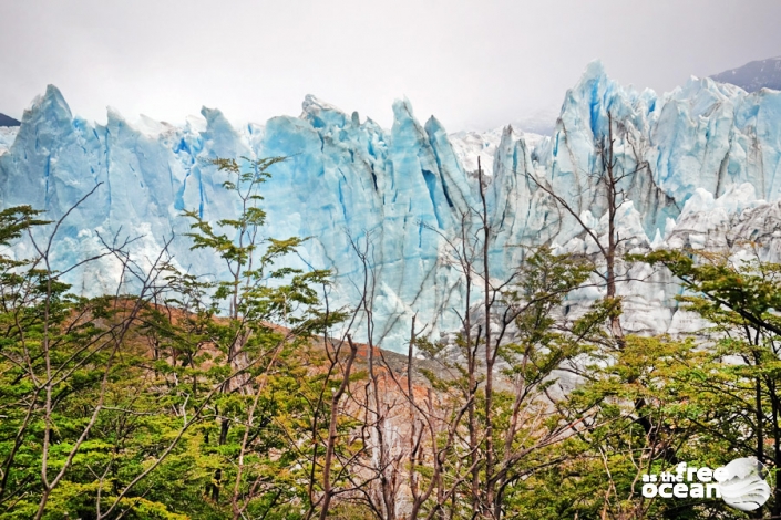 PERITO MORENO EL CALAFATE ARGENTINA