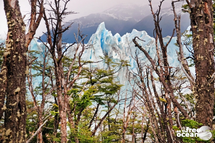 PERITO MORENO EL CALAFATE ARGENTINA