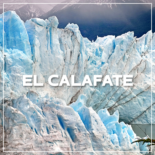 GALLERY EL CALAFATE