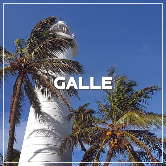 GALLERY GALLE