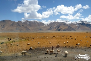 HIMALAYAS TIBET
