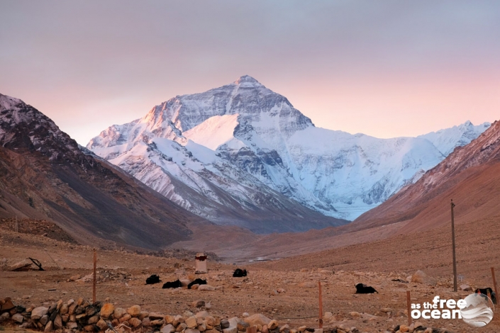 HIMALAYAS TIBET