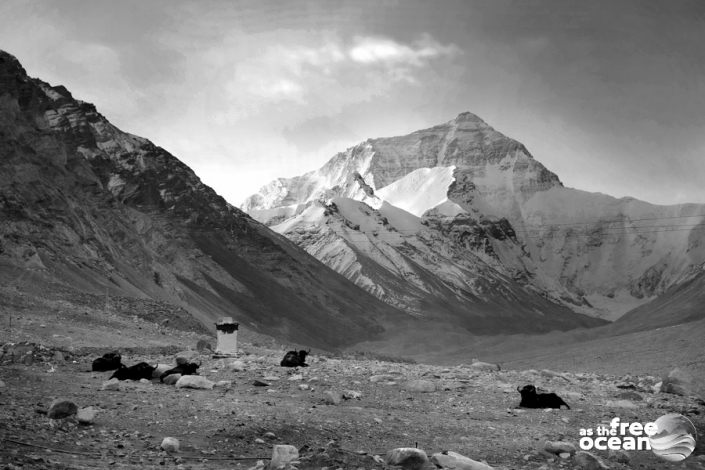 HIMALAYAS TIBET