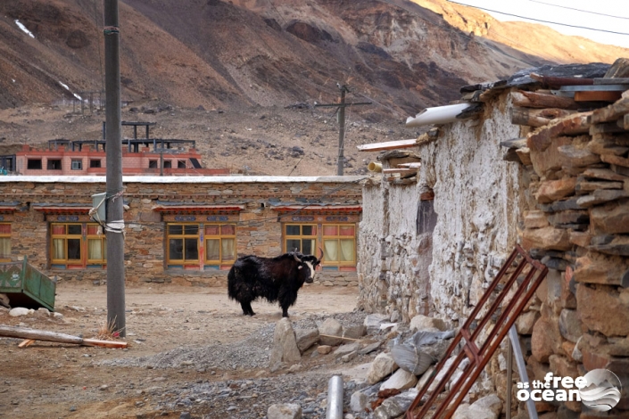 HIMALAYAS TIBET