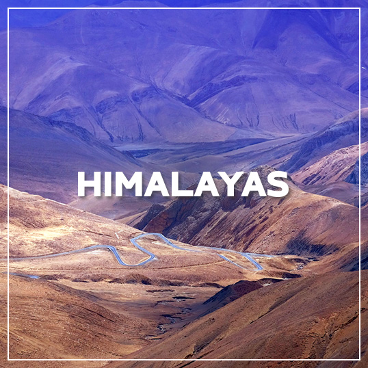 GALLERY HIMALAYAS