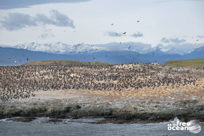 USHUAIA ARGENTINA