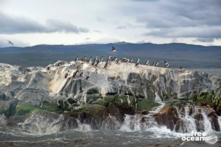 USHUAIA ARGENTINA