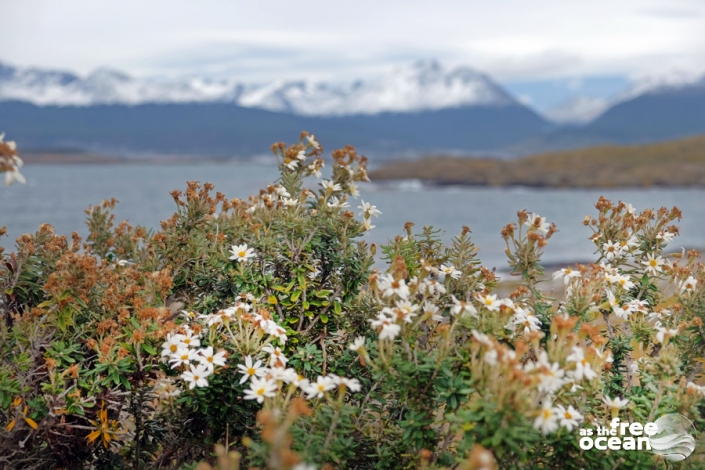 USHUAIA ARGENTINA