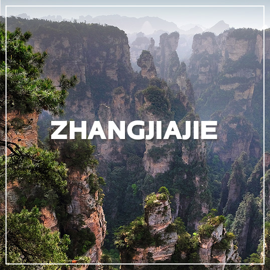 GALLERY ZHANGJIAJIE